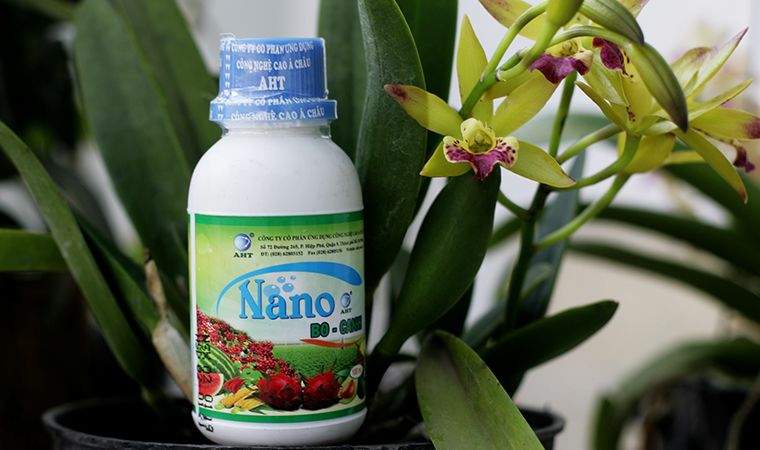 Nano bo Canxi–bổ sung dưỡng chất cần thiết cho hoa lan