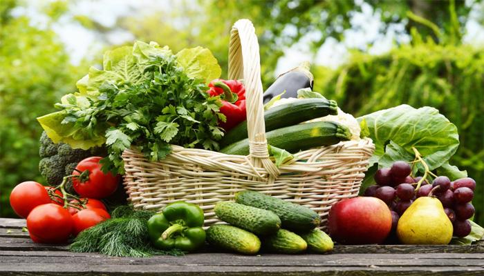 Kỹ thuật trồng rau sạch trong chậu xốp tại nhà đơn giản