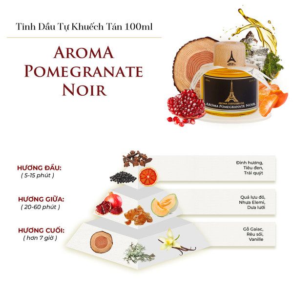 Tinh dầu nước hoa Aroma Pomegranate Noir là sự kết hợp giữa các tầng hương