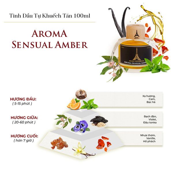 Nước hoa Aroma Sensual Amber là sự hòa quyện giữa các tầng hương
