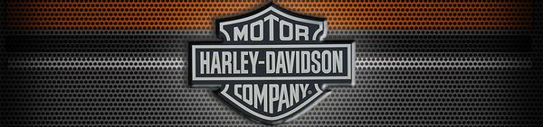 Xe mô hình Harley Davidson
