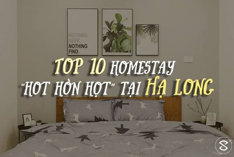 TOP 10 HOMSTAY 