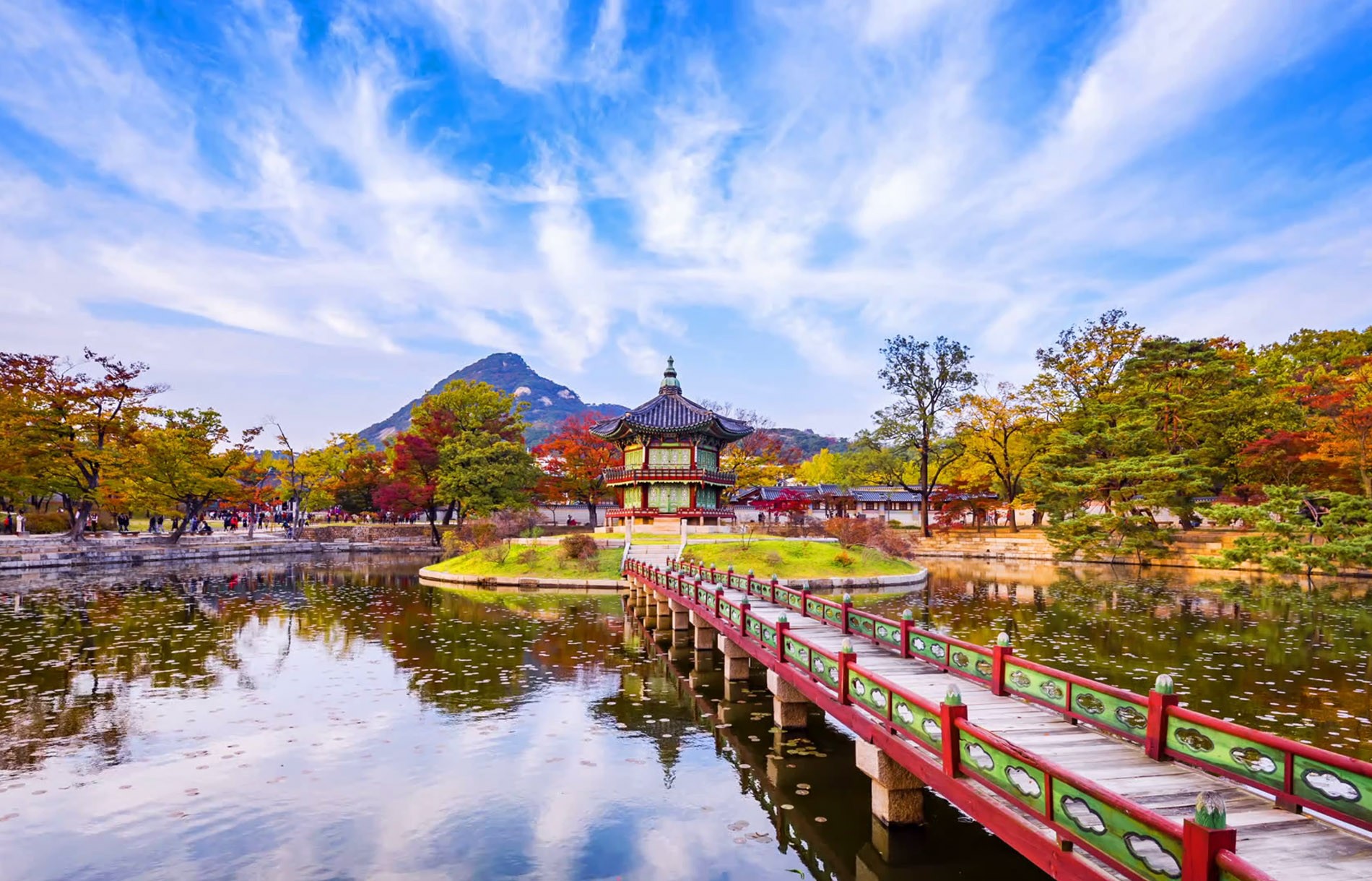 vé máy bay giá rẻ Asiana Airlines