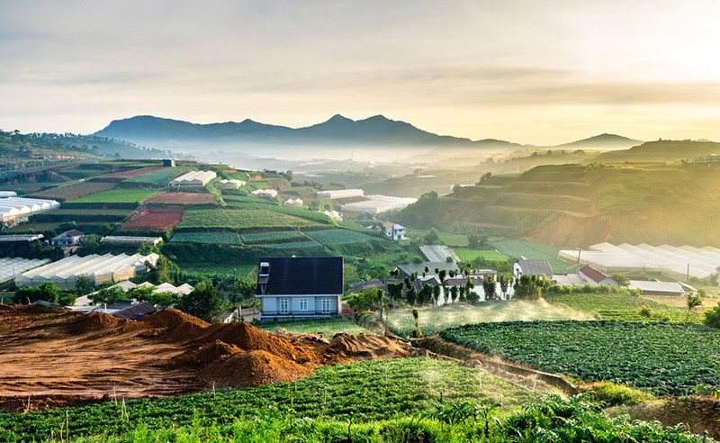 vé máy bay giá rẻ đi Đà Lạt