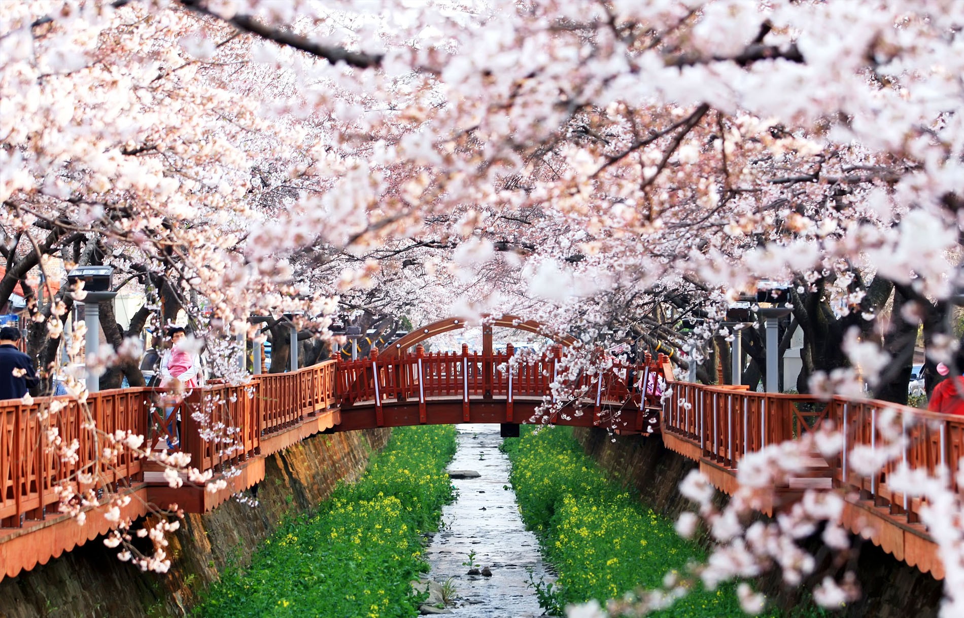 vé máy bay giá rẻ Korean Air