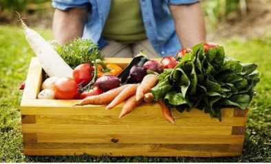 Nông nghiệp hữu cơ và thực trạng chứng nhận tại Việt Nam