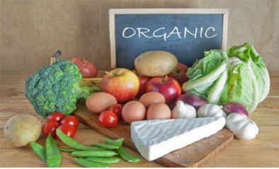 Thực phẩm Organic: Tổng hợp những điều bạn cần biết về thực phẩm organic