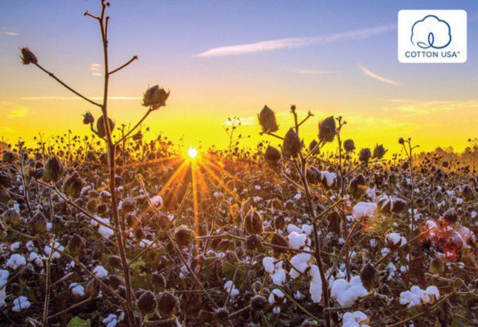 Sunfly ứng dụng cotton USA cho thời trang mặc nhà