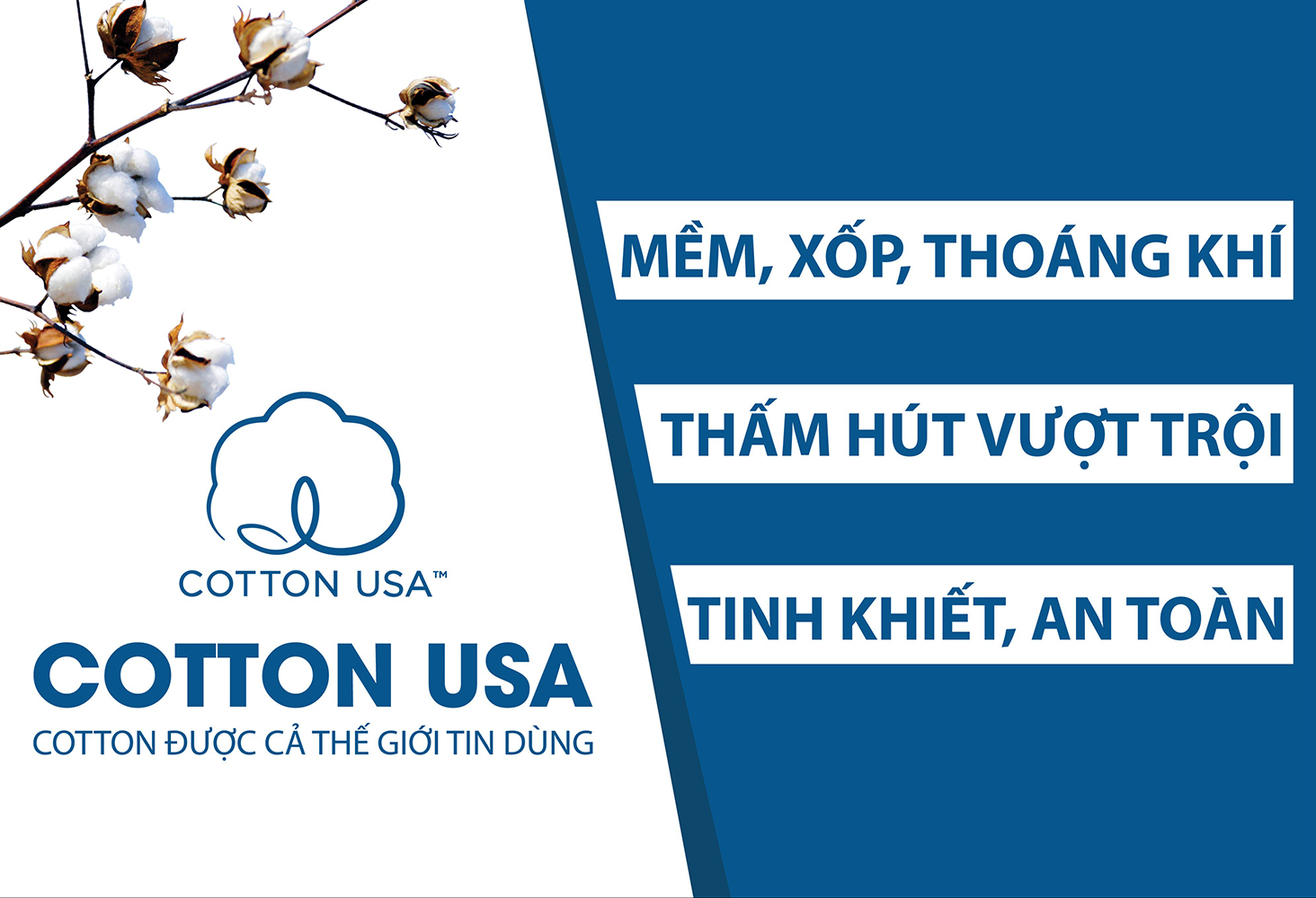 Sunfly tiên phong ứng dụng cotton USA cho thời trang mặc nhà