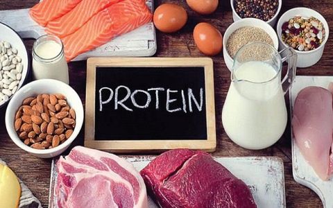 Vai trò của protein và hướng dẫn, công dụng