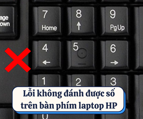 Lỗi không đánh được số trên bàn phím laptop HP khắc phục thế nào?