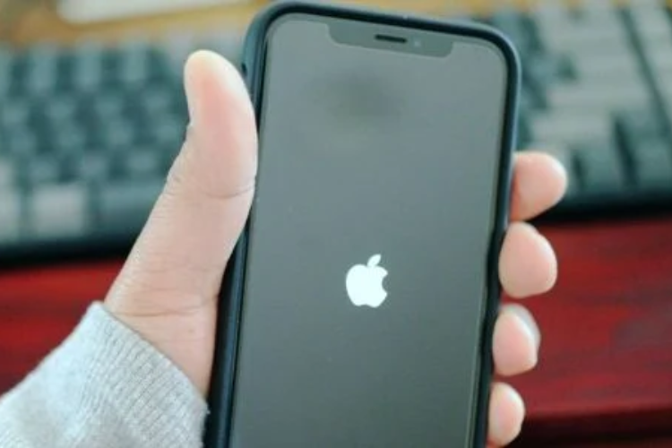 iPhone bị treo táo