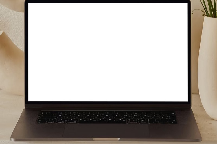 Cách khắc phục lỗi màn hình laptop bị trắng xóa