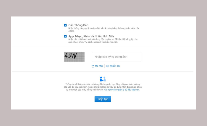 Nhập các ký tự trong ảnh > chọn Tiếp tục