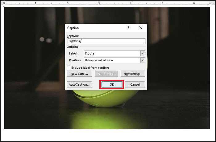 Nhập chú thích vào ô “Caption” > chọn “OK”