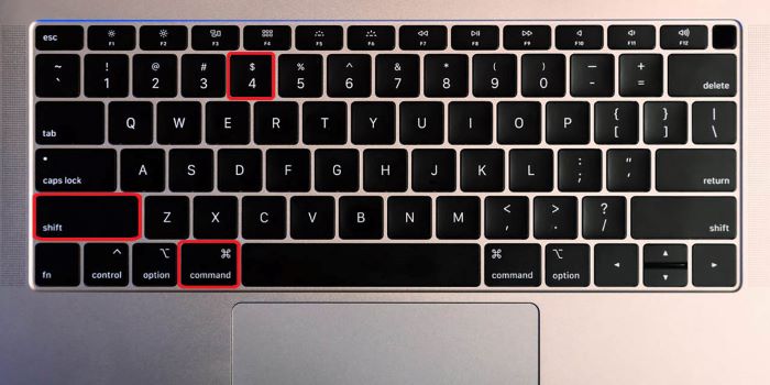 Nhấn Command + Shift + 4