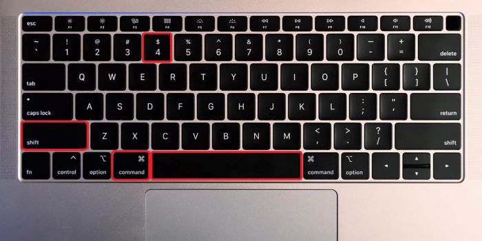 Nhấn Command + Shift + 4 + phím cách