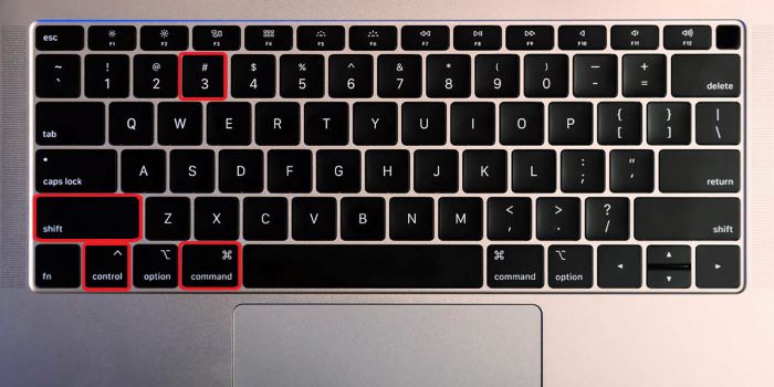 Nhấn Command + Shift + Control + 3