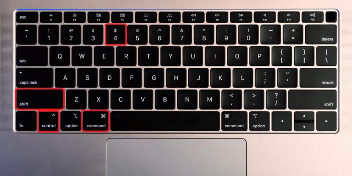 Nhấn Command + Shift + Control + 4