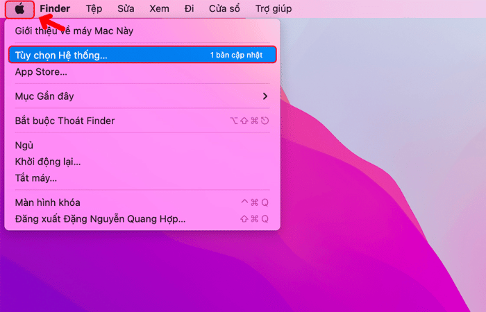 Chọn logo Apple > “Tùy chọn hệ thống”