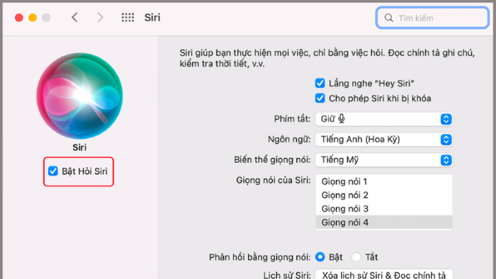 Tick vào ô “Bật Hỏi Siri”