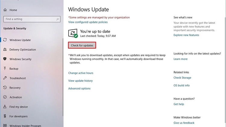 file tự động updates