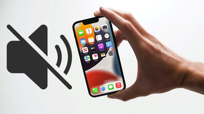 Chuông iPhone 11 Pro Max bị mất tiếng