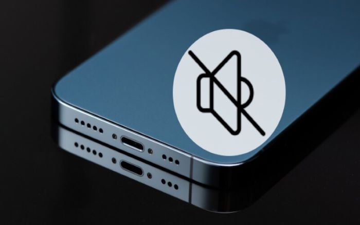 Chuông iPhone 13 Pro Max bị mất tiếng
