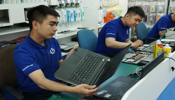 màn hình laptop bị muỗi