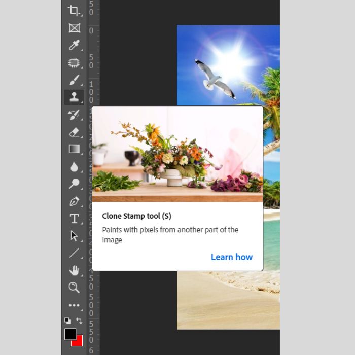 Xóa vật thể trong ảnh bằng “Clone Stamp Tool”