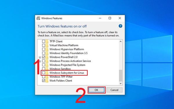 laptop lâu lên màn hình