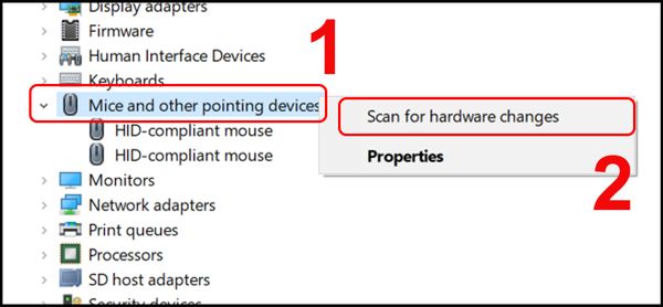 laptop lâu lên màn hình