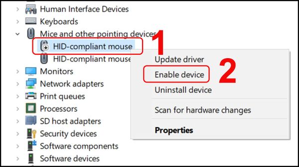 laptop lâu lên màn hình
