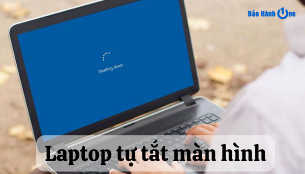 laptop tự tắt màn hình