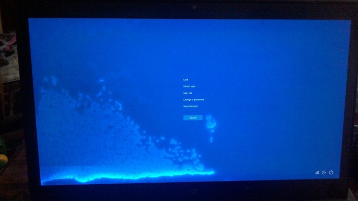 Màn hình laptop HP ProBook tiếp xúc với chất lỏng