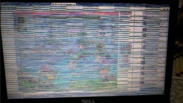 màn hình laptop bị muỗi