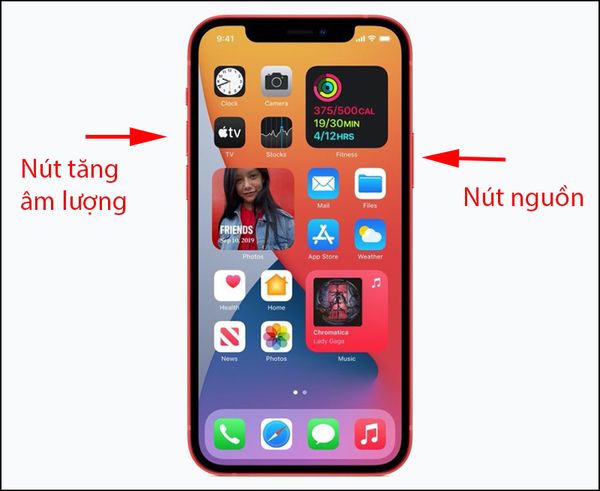 ip xs max bị sọc màn hình