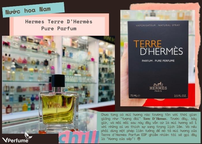 Mùi hương nước hoa Hermes Terre D'Hermès Pure Parfum