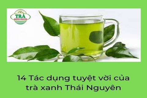 14 Tác dụng tuyệt vời của trà xanh Thái Nguyên