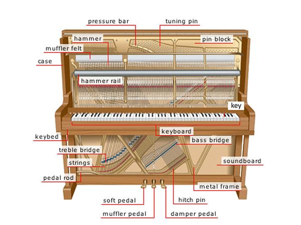 Cấu tạo cây đàn Piano upright