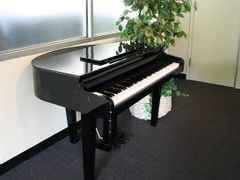Digital Baby Grand Piano
