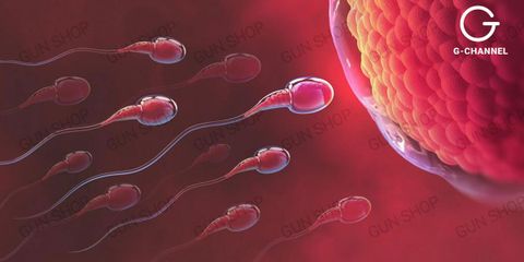 Cách tính ngày rụng trứng giúp tránh thai chính xác