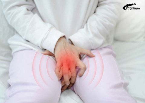 Bật mí 15 cách làm giảm ngứa vùng kín đơn giản, hiệu quả tại nhà