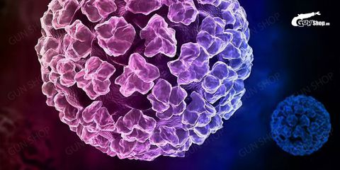 HPV - Virus lây truyền bệnh tình dục là gì? Có tổng bao nhiêu chủng?