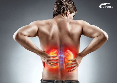 Người suy thận có kiêng quan hệ không? Các thói quen gây hại cho thận