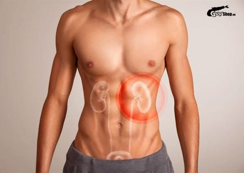 Thận yếu có ảnh hưởng đến sinh lý nam không? Giải đáp từ chuyên gia