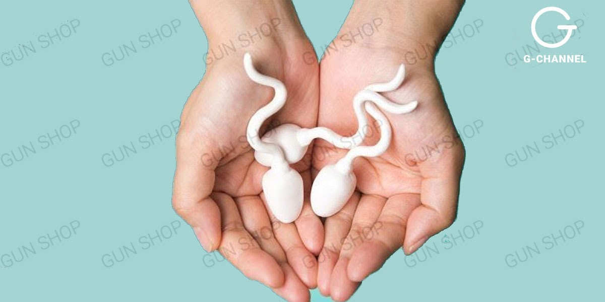 Tầm quan trọng của chất lượng tinh trùng