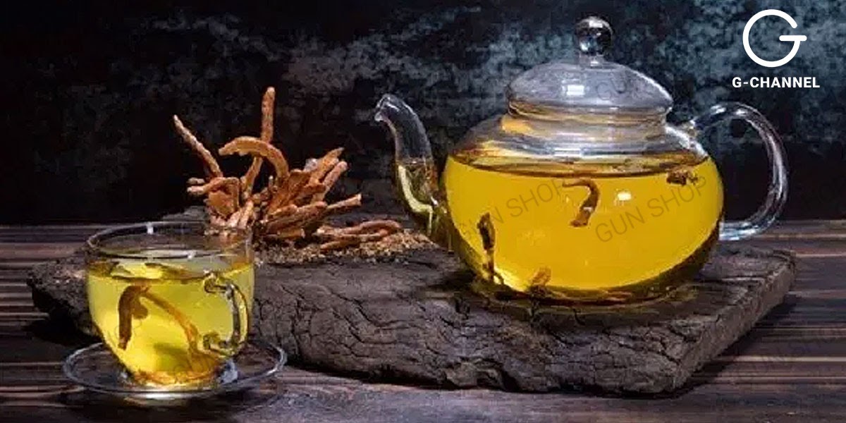 lưu ý khi dùng đông trùng hạ thảo