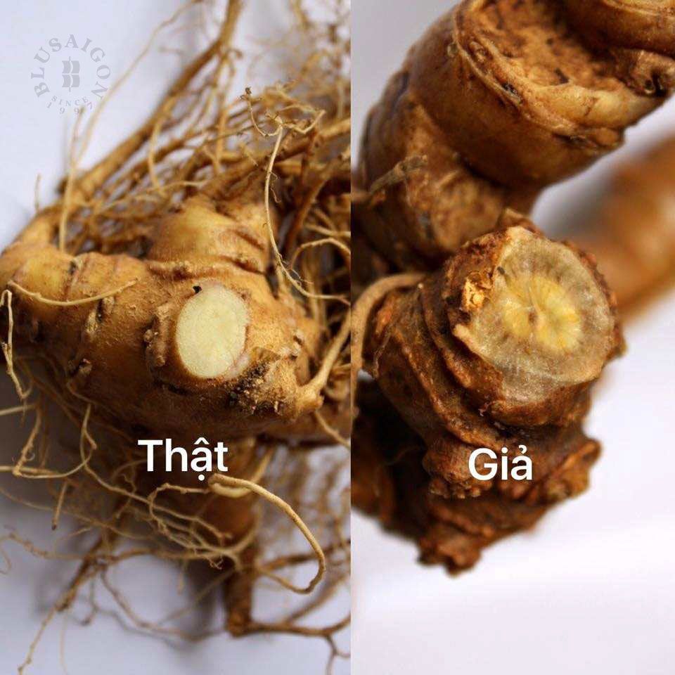 Cách phân biệt sâm Ngọc Linh thật – giả