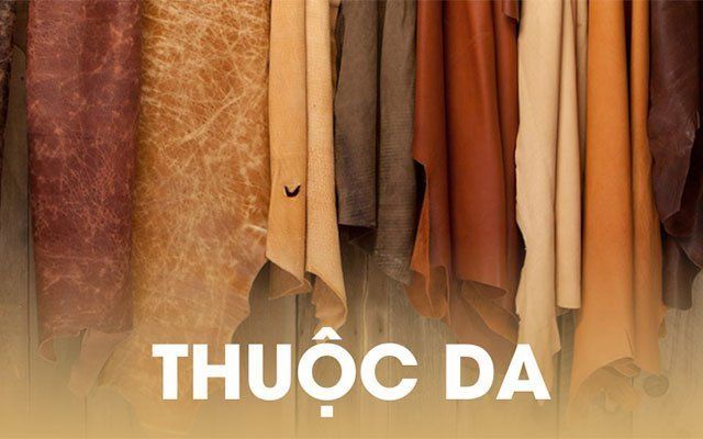 Thuộc Da – Kiến thức sơ khởi về da dành cho những ai quan tâm ( Phần 3 )